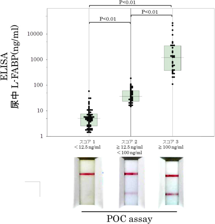 半定量スコアはELISA定量値を精度よく反映