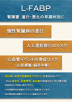 L-FABP腎障害 進行・悪化の早期判別に