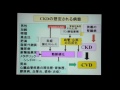 CKD・糖尿病性腎症の疾病管理～バイオマーカーL-FABPの可能性～